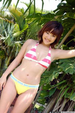 野花香